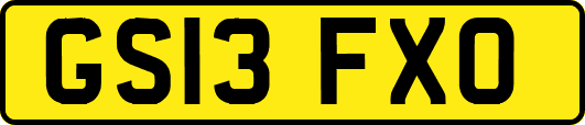 GS13FXO
