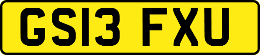 GS13FXU