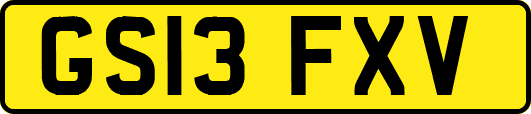 GS13FXV