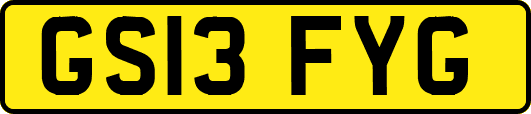 GS13FYG