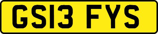 GS13FYS
