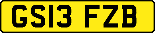 GS13FZB