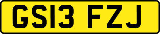 GS13FZJ