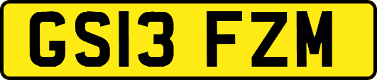 GS13FZM