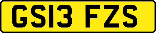 GS13FZS