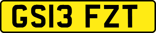 GS13FZT