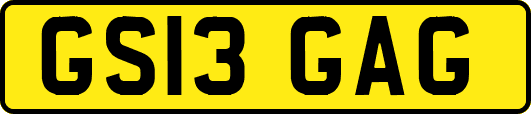 GS13GAG