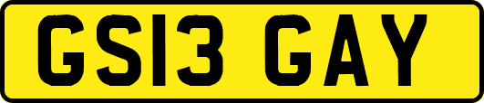 GS13GAY