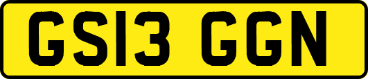 GS13GGN
