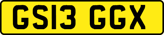 GS13GGX