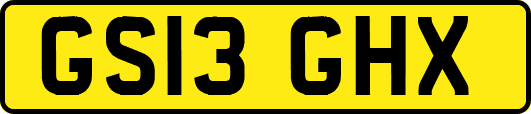 GS13GHX