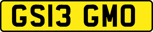 GS13GMO