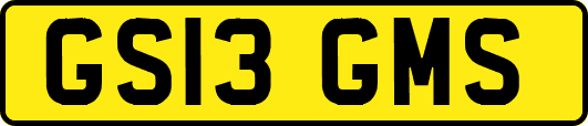 GS13GMS