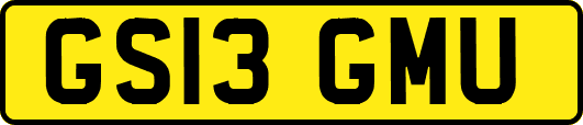 GS13GMU