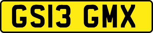 GS13GMX
