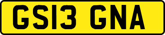 GS13GNA