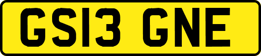 GS13GNE