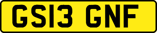GS13GNF