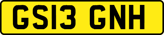 GS13GNH