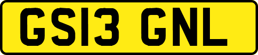 GS13GNL