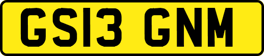 GS13GNM