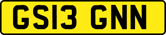 GS13GNN