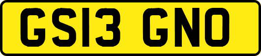 GS13GNO
