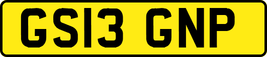 GS13GNP