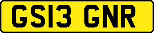 GS13GNR