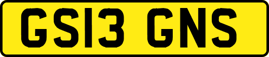 GS13GNS