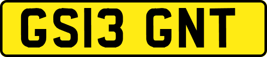 GS13GNT