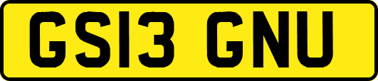 GS13GNU
