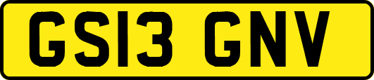 GS13GNV
