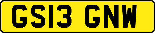 GS13GNW