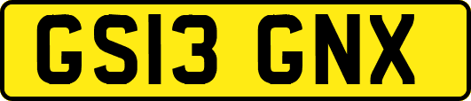 GS13GNX