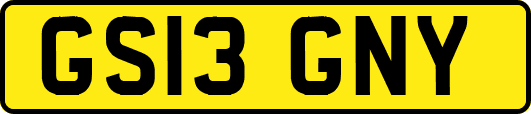 GS13GNY