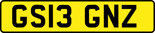 GS13GNZ