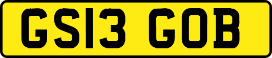 GS13GOB