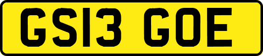 GS13GOE