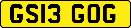 GS13GOG