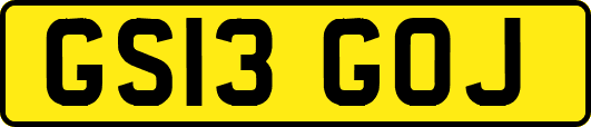 GS13GOJ