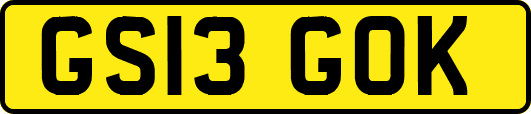 GS13GOK
