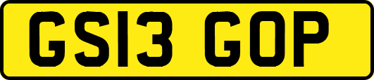 GS13GOP