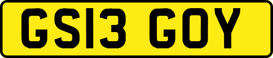 GS13GOY