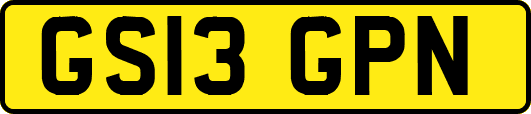 GS13GPN