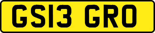GS13GRO