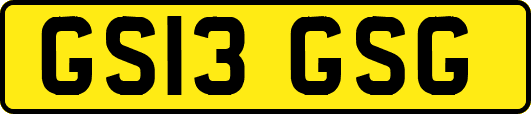 GS13GSG