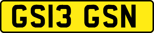 GS13GSN