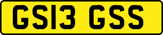 GS13GSS