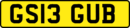 GS13GUB